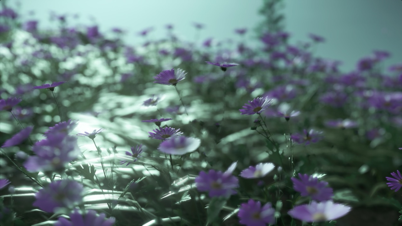 Studies on Breaking Immersion